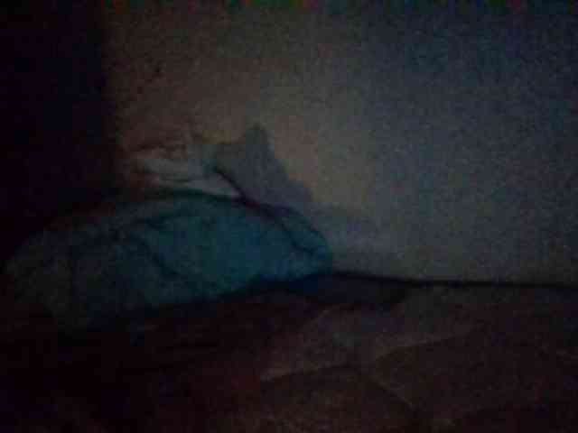 starlight1983 webcam