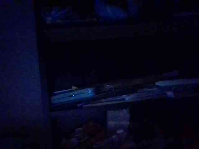 starlight1983 webcam