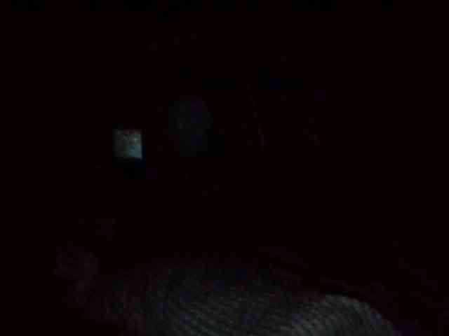 starlight1983 webcam