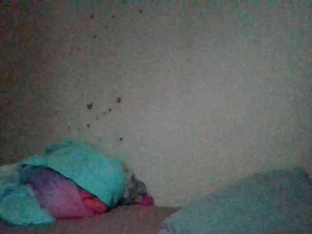 starlight1983 webcam