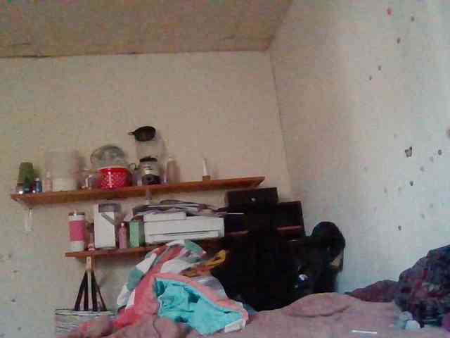 starlight1983 webcam