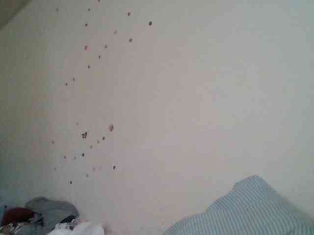 starlight1983 webcam