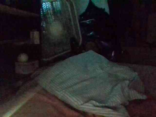 starlight1983 webcam