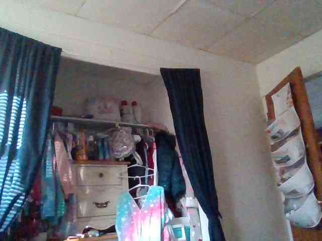 starlight1983 webcam