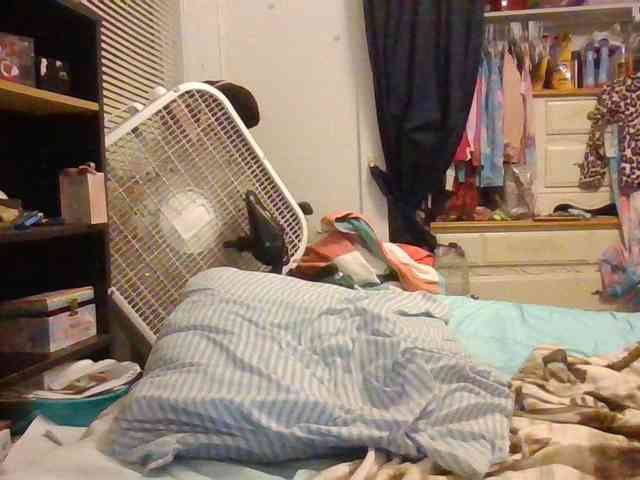 starlight1983 starlight1983