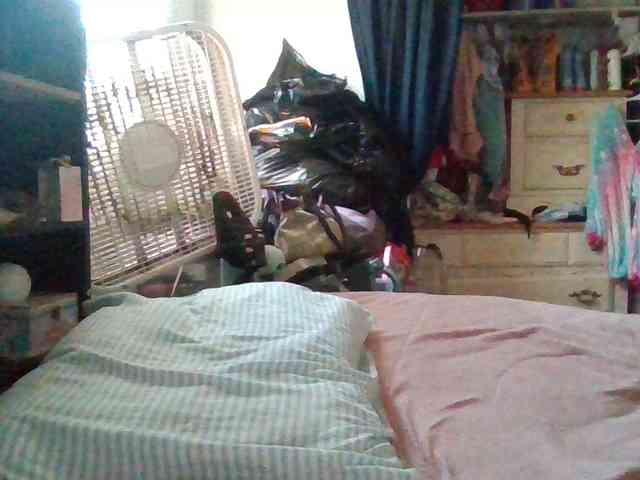 starlight1983 webcam