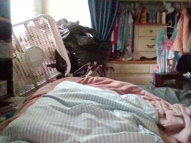 starlight1983 webcam