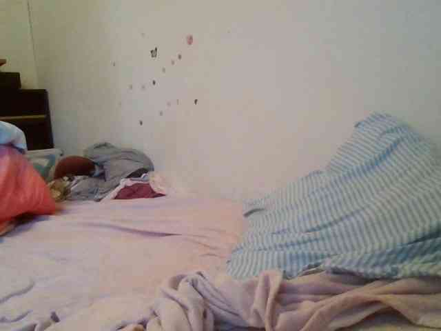 starlight1983 webcam