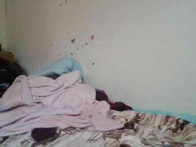 starlight1983 webcam