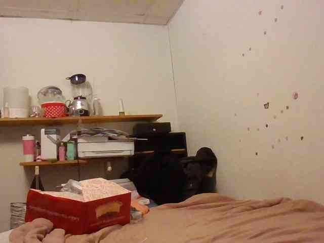 starlight1983 webcam