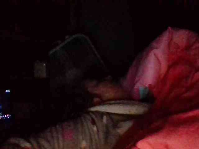 starlight1983 webcam