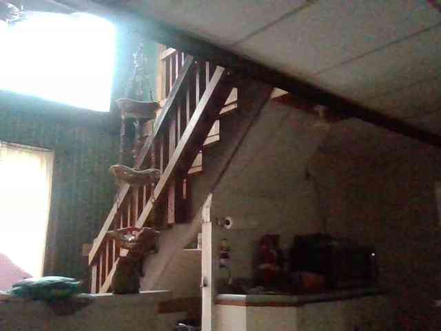 starlight1983 webcam