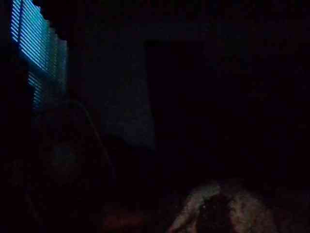 starlight1983 webcam