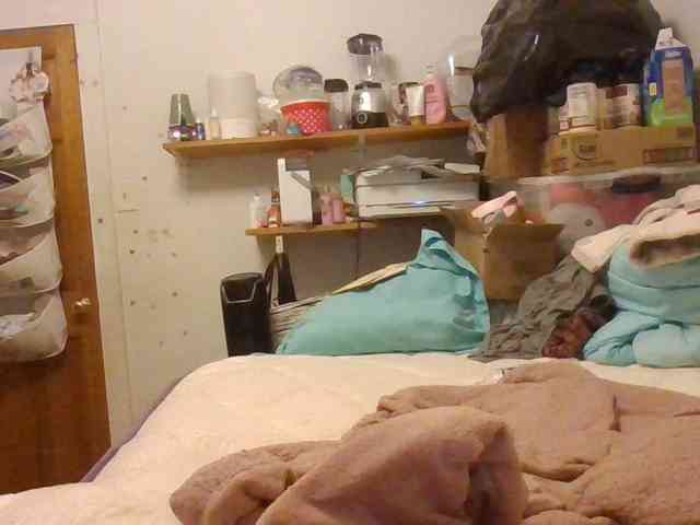 starlight1983 webcam
