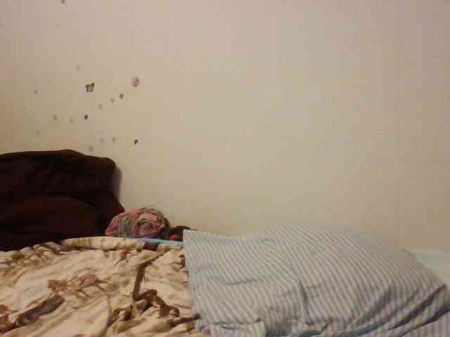 starlight1983 webcam