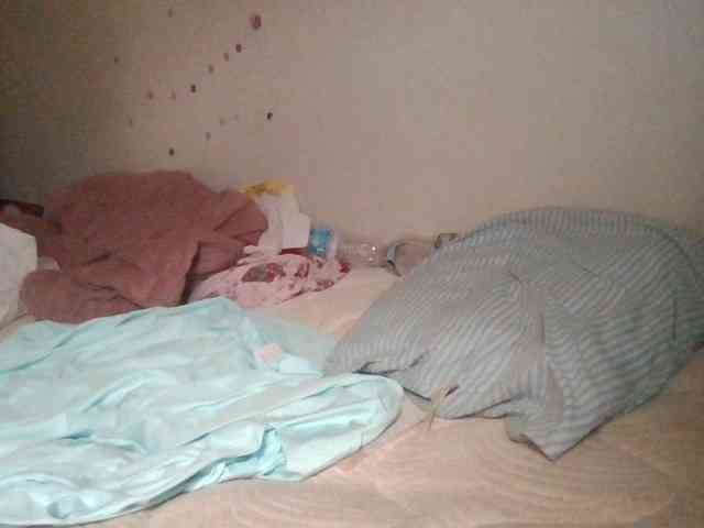 starlight1983 webcam