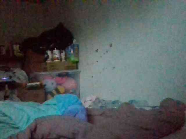 starlight1983 webcam