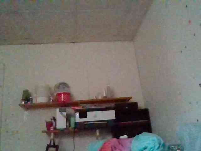 starlight1983 webcam