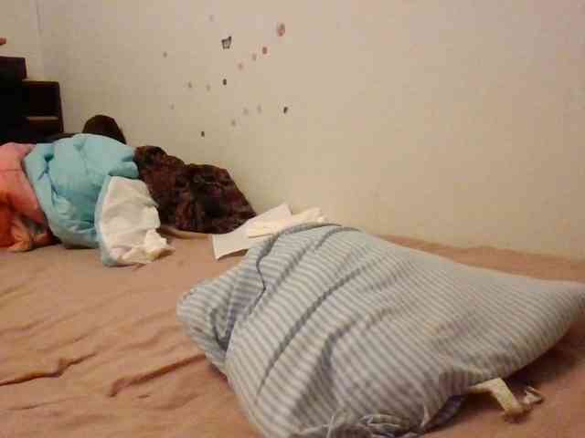 starlight1983 webcam