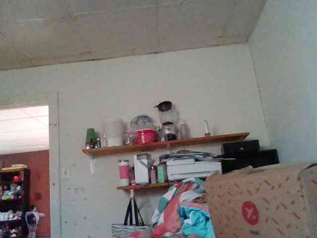 starlight1983 webcam