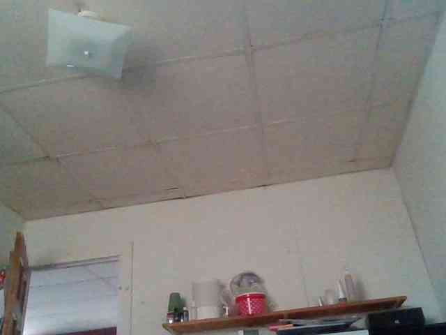 starlight1983 webcam