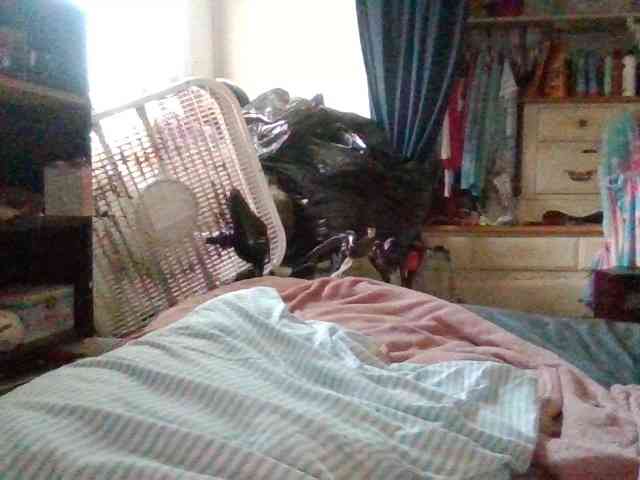 starlight1983 webcam