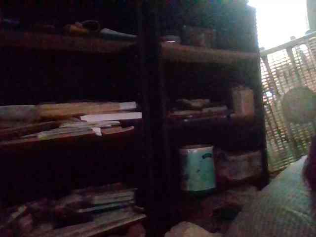 starlight1983 webcam