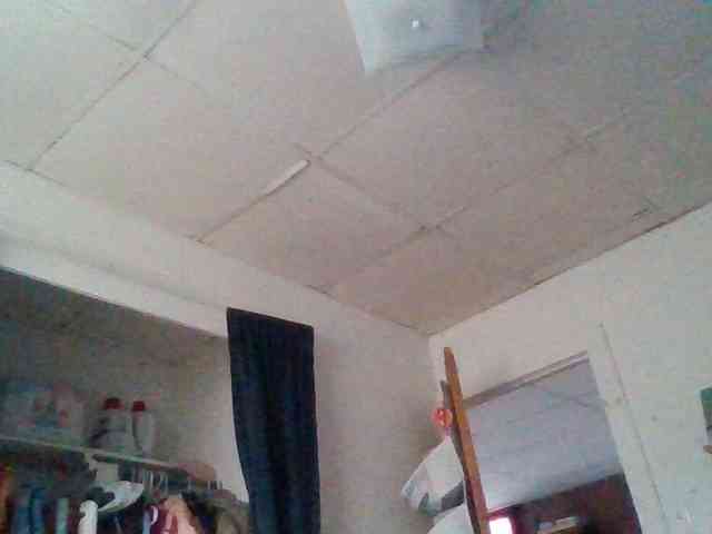 starlight1983 webcam