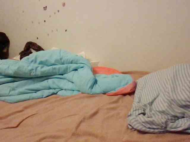 starlight1983 webcam