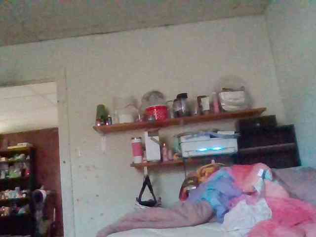 starlight1983 webcam