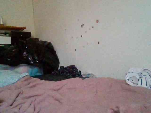 starlight1983 starlight1983