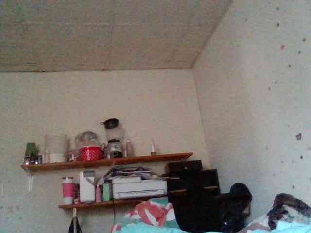 starlight1983 webcam