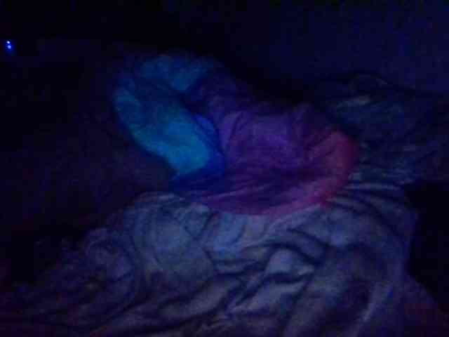 starlight1983 webcam