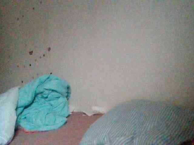 starlight1983 webcam