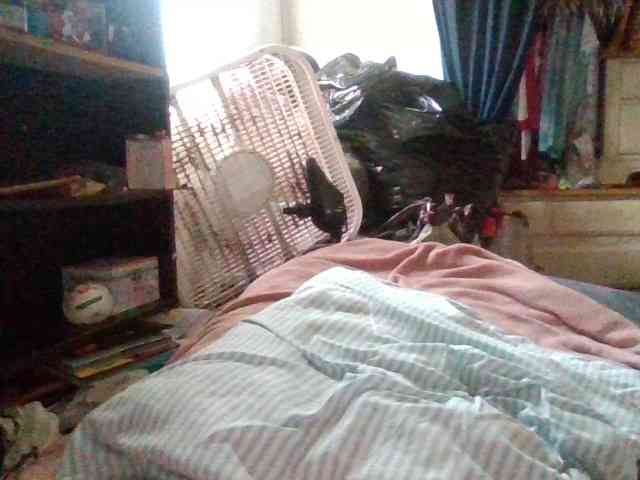 starlight1983 webcam