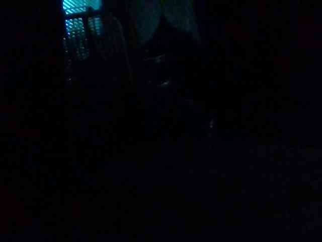 starlight1983 webcam