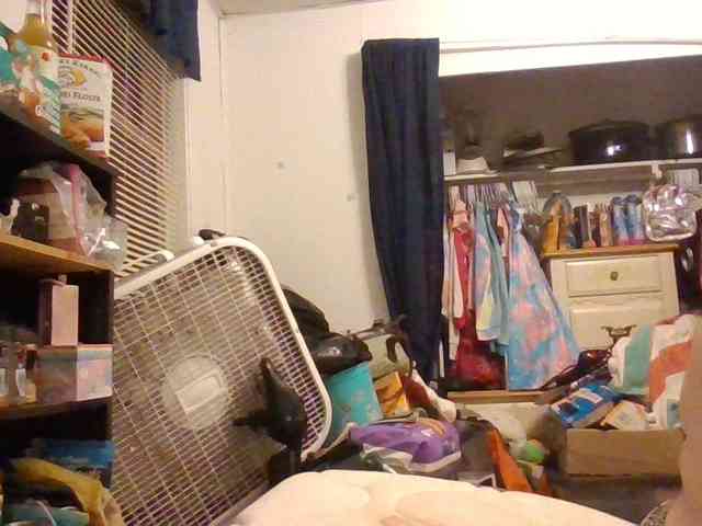 starlight1983 webcam