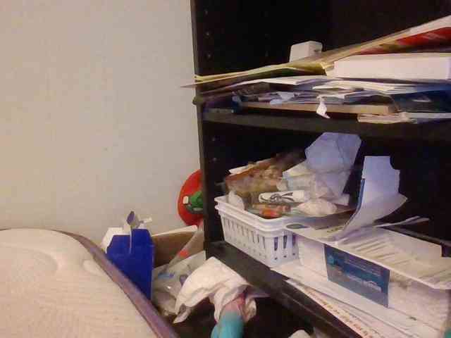 starlight1983 webcam