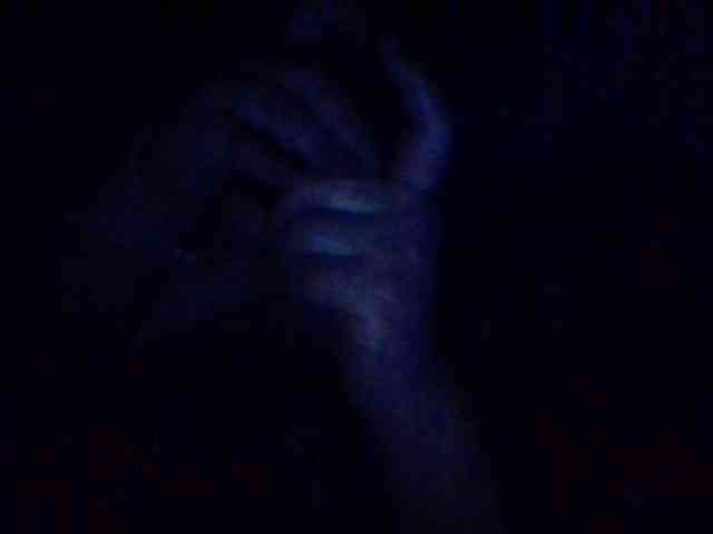 starlight1983 webcam