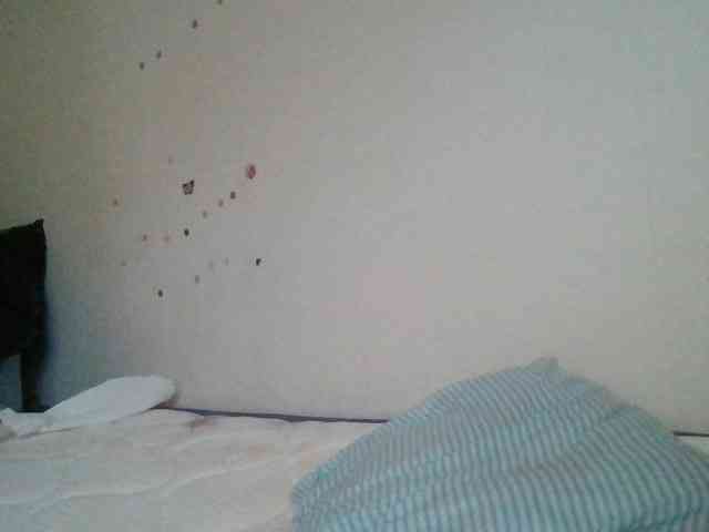 starlight1983 webcam