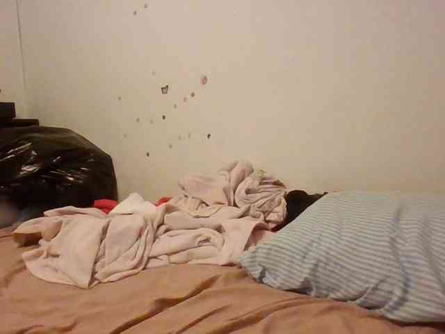 starlight1983 webcam