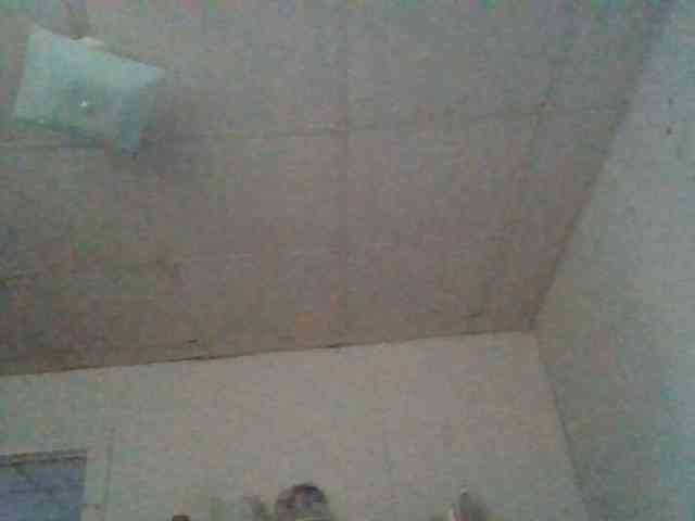 starlight1983 webcam