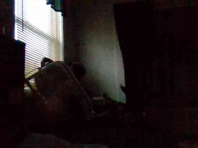 starlight1983 webcam