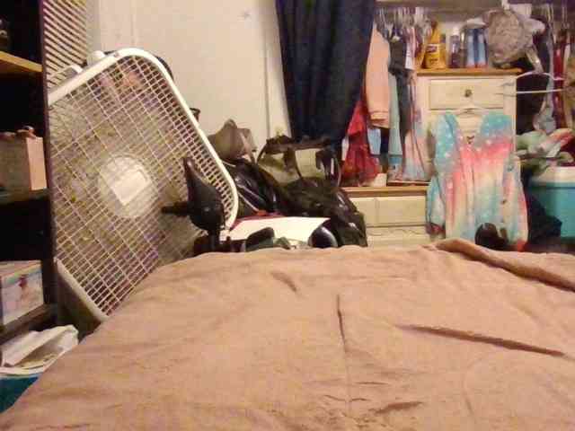 starlight1983 webcam