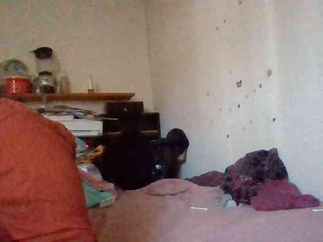 starlight1983 webcam