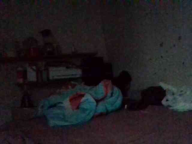 starlight1983 webcam