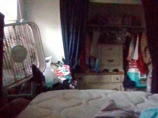 starlight1983 webcam