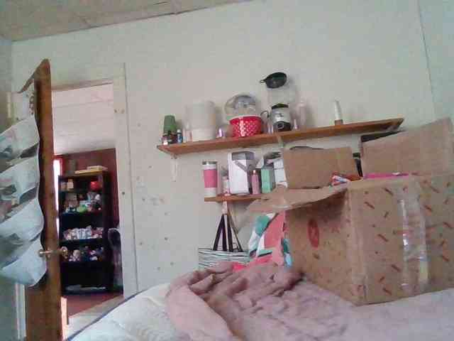 starlight1983 webcam