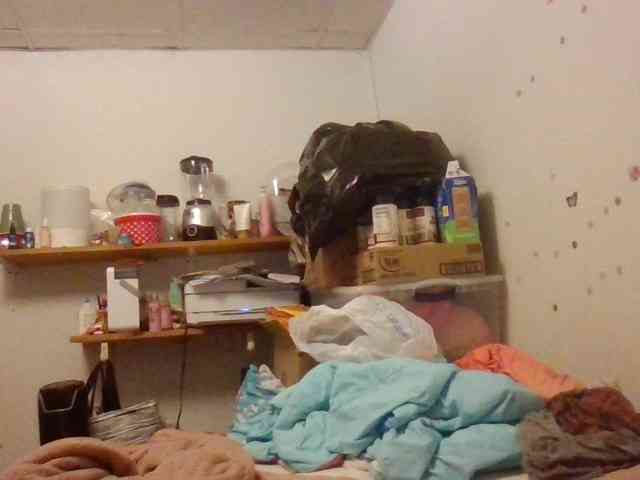 starlight1983 webcam