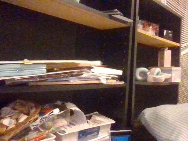 starlight1983 webcam